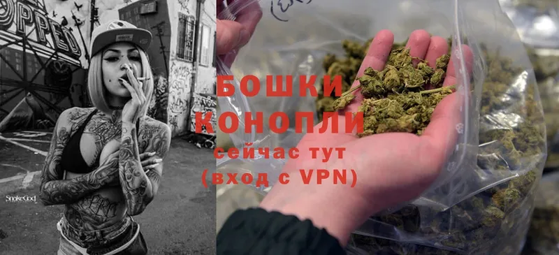 Бошки Шишки THC 21%  Курганинск 